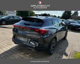 Cupra Formentor 1.5 eTSI DSG Facelift Winterpaket E... - gebrauchte Cupra Formentor mit Facelift