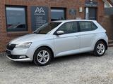 Skoda Fabia 1.0 TSI "Style" SHZ Alu CarPlay TÜV neu - Skoda Gebrauchtwagen in Flensburg