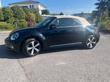 Volkswagen Beetle 1.2 TSI BMT Exclusive Design Cabriole... - Volkswagen Beetle: Exclusive Design