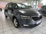 Skoda Fabia Combi 1.0 TSI Ambition OPF (EURO 6d-TEMP)  - Skoda Fabia: 1.6