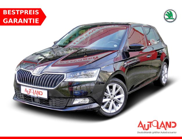 Skoda Fabia 1.0 TSI Clever Navi Sitzheizung Kamera LED