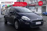 Fiat FIAT Punto Punto Evo 5p 1.3 mjt Dynamic s&s 75cv - Fiat Punto Evo aus 2013