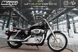 Harley-Davidson XL 883 Custom Sportster *Liefer. deutschlandweit - Offers