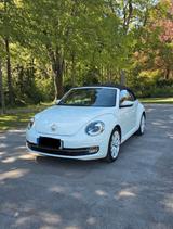 Volkswagen New Beetle Cabrio - 1.Hand - Scheckheftgepflegt - Volkswagen New Beetle mit Diesel-Antrieb