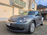Volkswagen Beetle Lim. Basis BMT !! Top Zustand  - Garantie - Volkswagen Beetle: Sportwagen