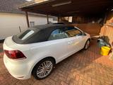 Volkswagen Golf 1.4 TSI 90 kW Cabriolet - - Volkswagen Golf: 1.9