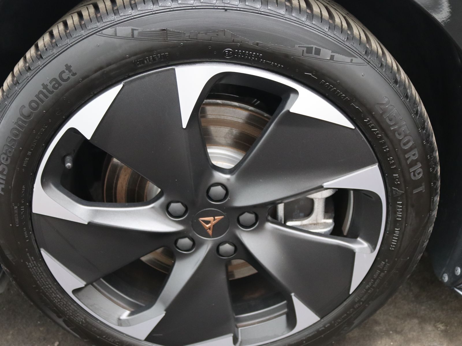 Cupra Born - Bild 18