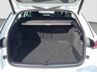 Skoda Octavia - Vorschau Bild 14