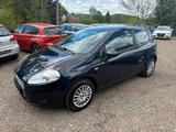 Fiat Punto 1.2 8V mit Klima - gebrauchte Fiat Punto aus dem Jahr 2009