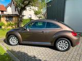 Volkswagen Beetle 1.2 TSI BMT - - VW Beetle von privat