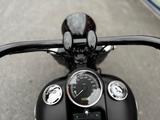 Harley-Davidson FAT BOY S*S SERIES*110TC*FLSTFBS* - HARLEY-DAVIDSON MÜNSTER