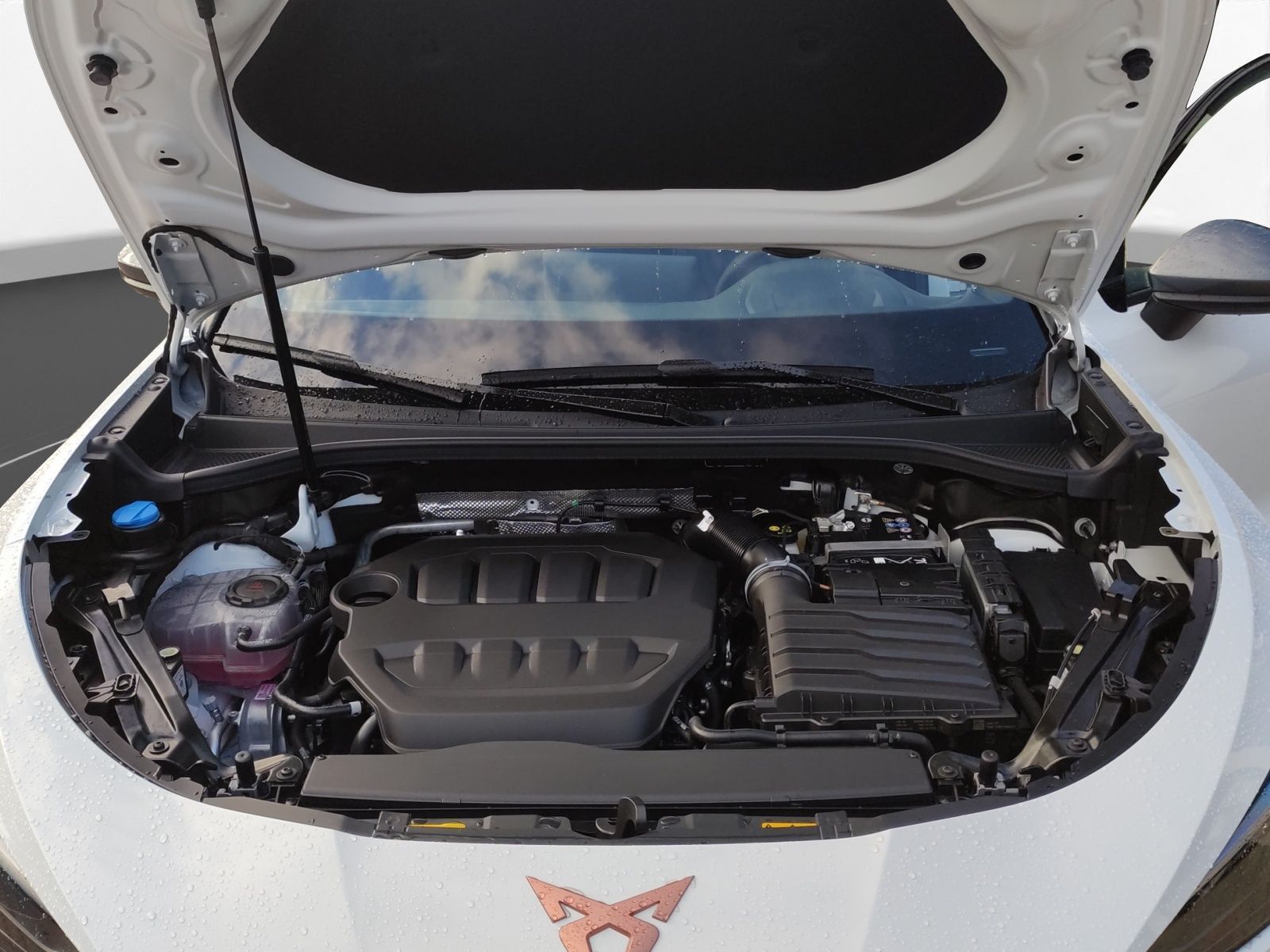 Cupra Terramar - Bild 19