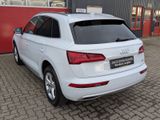 Audi Q5 40 TDI quattro sport HUD Kamera Panorama - Audi Q5 aus 2019