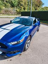 Ford Mustang 3.7L V6 - Ford Mustang: Coupe, V6