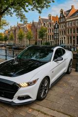 Ford Einzigartiger Ford Mustang 3.7 V6 mit LPG ... - mit LPG-Antrieb: Coupe