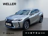 Lexus UX 250h Style Edition *Bi-LED*ACC*CAM*SHZ*CarPla - Lexus Gebrauchtwagen in Leipzig