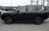 Toyota LC300+EXECUTIVE+70th+TwinTurbo+415HP+NEU+EUreg - Toyota: Lc