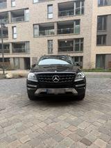 Mercedes-Benz Mercedes Benz ML 250 Blutec 4 Matic - : Mercedes Ml
