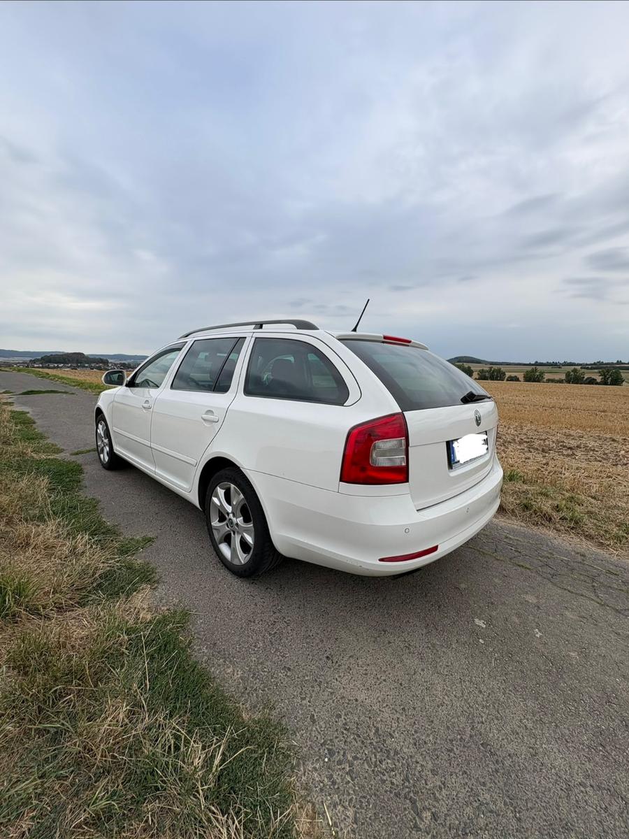 Skoda Octavia 2011 — rear view