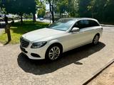 Mercedes-Benz C 300 T Autom. Designo Leder/Standheizung/Panora