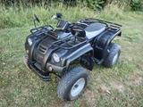 Adly Her CheeBoost 300 ATV Quad  Top Zustand - Angebote