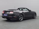 Ford Mustang GT Cabrio V8 California Special/Magne - Ford: Cabri