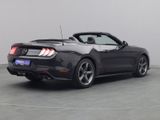 Ford Mustang GT Cabrio V8 California Special/Magne - Ford Mustang: Cabrio