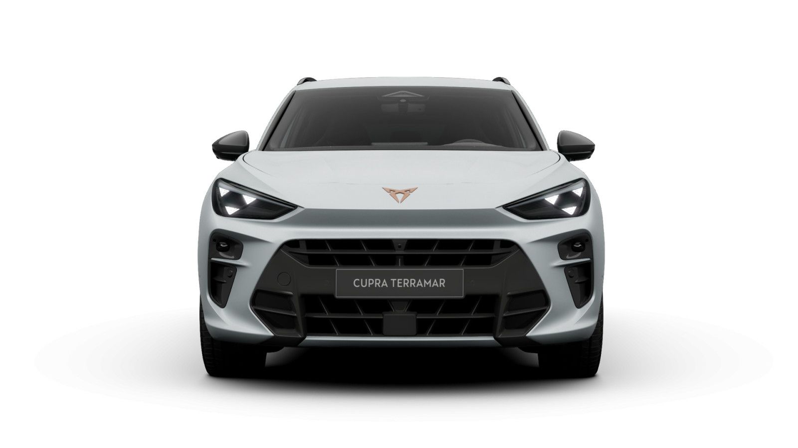 Cupra Terramar - Bild 3