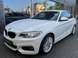 BMW 218i Coupe M Sport Shadow Bi-Xenon RadioProf 17" - BMW: X21