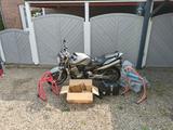 Honda Hornet 900 SC 48  - HONDA HORNET 900