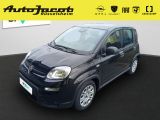 Fiat Pandina 1.0 Mild Hybrid Klima PDC - Fiat New Panda Tageszulassungen