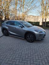 Lexus NX 300h Hybrid Luxury  - Lexus in Hamburg: Nx