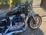 Harley-Davidson Sehr gepflegte Sportster 883 Low Rider  - Offers matching your search criteria