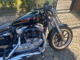 Harley-Davidson Sehr gepflegte Sportster 883 Low Rider  - Offers matching your search criteria