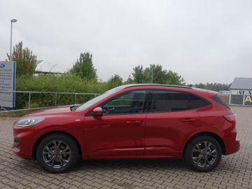Bild 4 Ford Kuga ST Line NAVI,SHZ v u. h, beheiz. Lenkrad