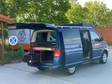 Volkswagen T5 Multivan - Volkswagen T5: Blau