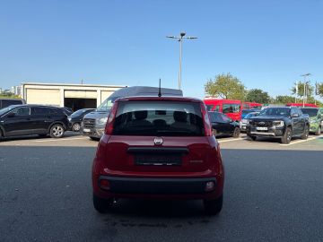 Bild 4 Fiat Panda Mild Hybrid 1.0 DAB Spurhalteass. Verkehrs