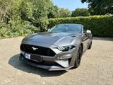 Ford Mustang 5.0 V8 GT Automatik, Garantie, MagneRide - Ford Mustang in Krefeld