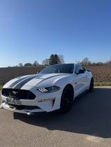Ford Mustang 5.0 Ti-VCT V8 GT Auto GT - Ford Mustang Gebrauchtwagen in Stuttgart