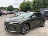 Lexus RX 450h+E-Four Luxury.360 Kam.AWD.P.Dach.ACCMY26 - Lexus RX 450 Plug-in Hybrid (PHEV) Gebrauchtwagen