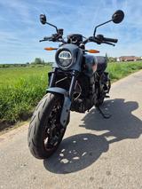 Indian FTR 1200 Stealth Grey Special Edition - INDIAN FTR S