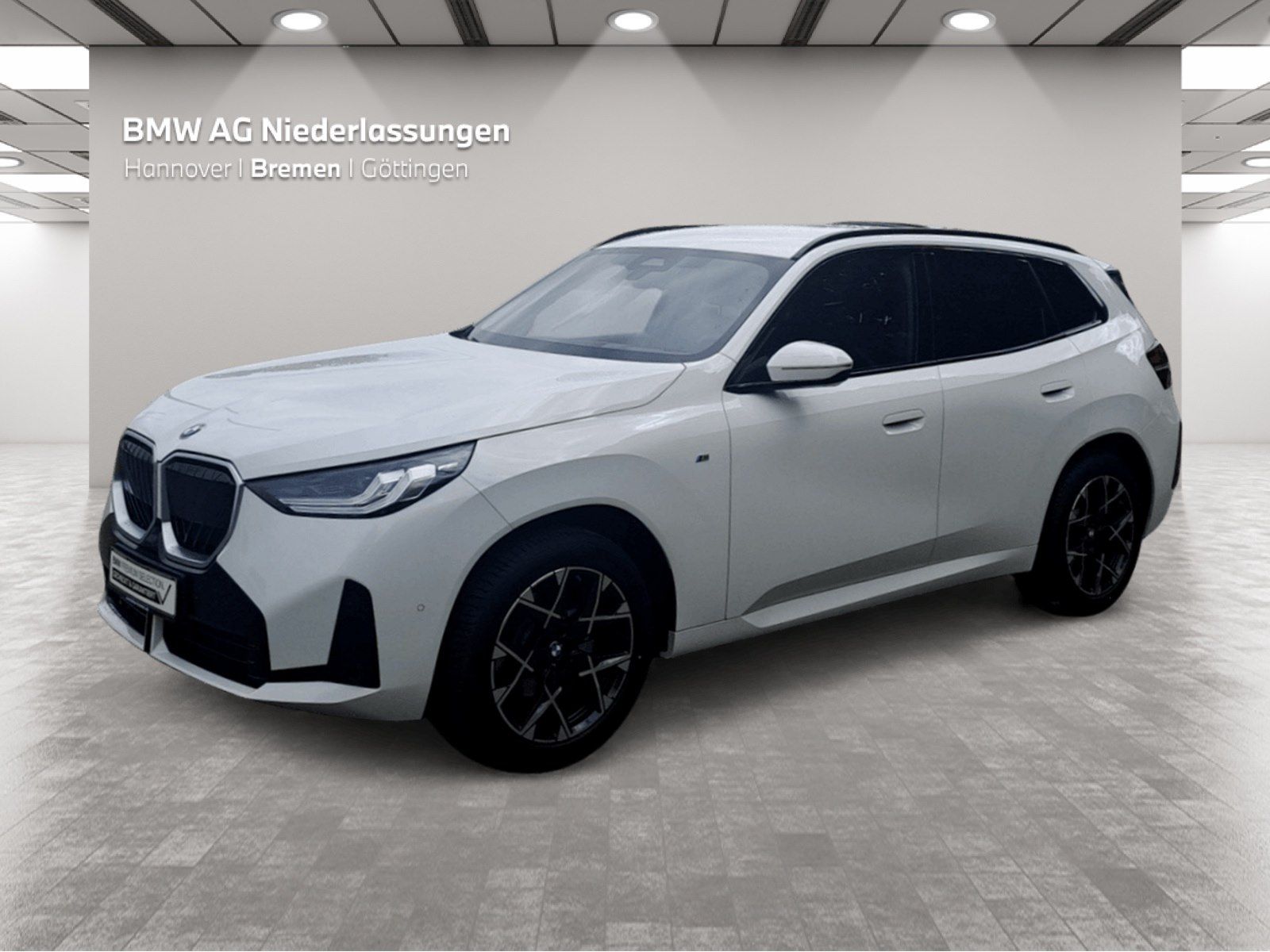 BMW X3 xDrive20d M Sport AHK Driv.Assist+ Kamera