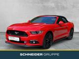 Ford Mustang GT Convertible 5.0 Ti-VCT V8 Cabriolet  - Ford Mustang: Rot, Cabrio
