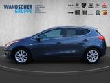 Kia cee'd Dream Team 1.4 +Navi+Kam.+SHZ+PDC+LM - Kia cee'd / Ceed aus 2017