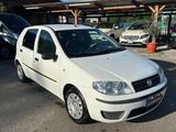 Fiat Punto 1.3 Multijet 5 porte Dynamic - Fiat Punto aus 2006: Multijet