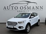 Ford Kuga 1.5 EcoBoost 2x4 Trend - Ford Kuga Trend mit Benzin-Antrieb