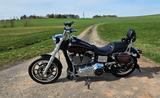 Harley-Davidson Dyna Low Rider FXDL  103 - Harley-Davidson Motorräder in Kassel