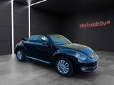 Volkswagen New Beetle Cabriolet Club BMT/Bi-Xenon/Kamera/Na - : Cabrio, Club