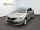 Skoda Octavia 2.0 TDI Style 4x4 DSG LED Teilleder DAB+ - mit Diesel-Antrieb: Beige, Limousine