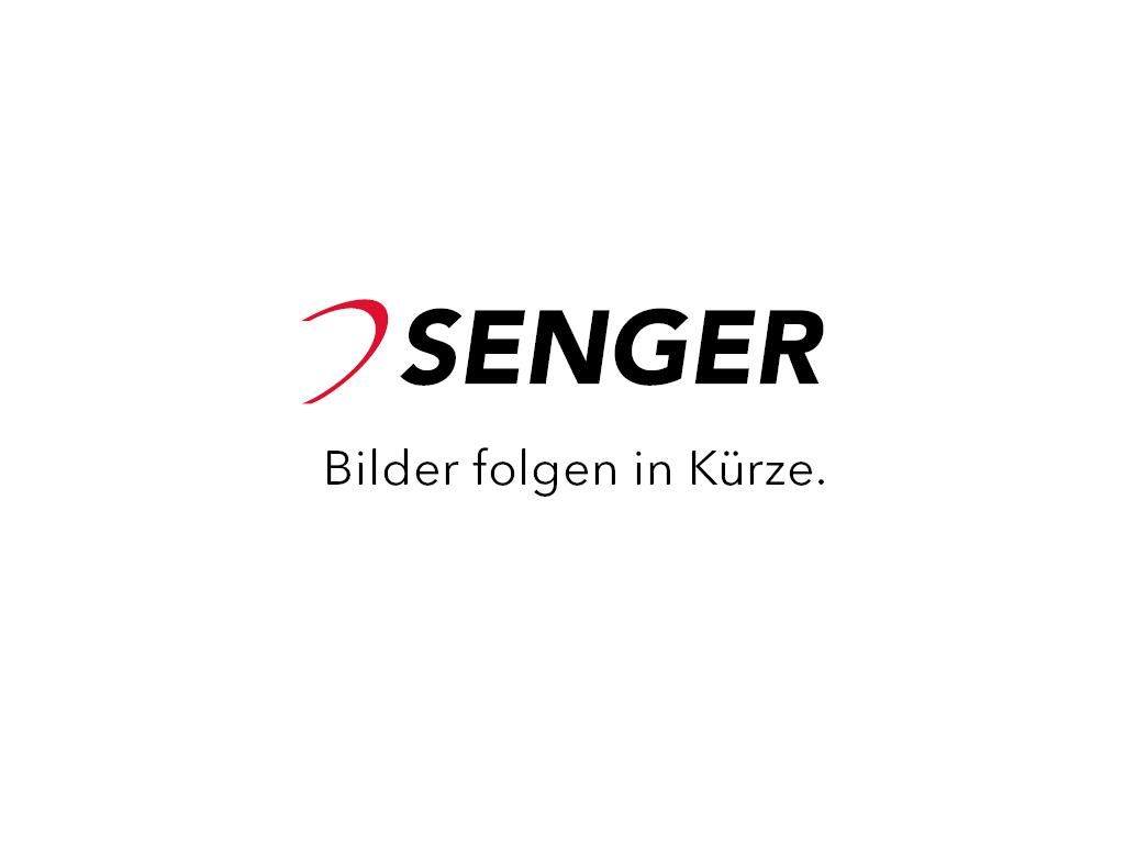 Seat Ibiza Style 1.0 TSI DSG TECH Kessy Trend Plus